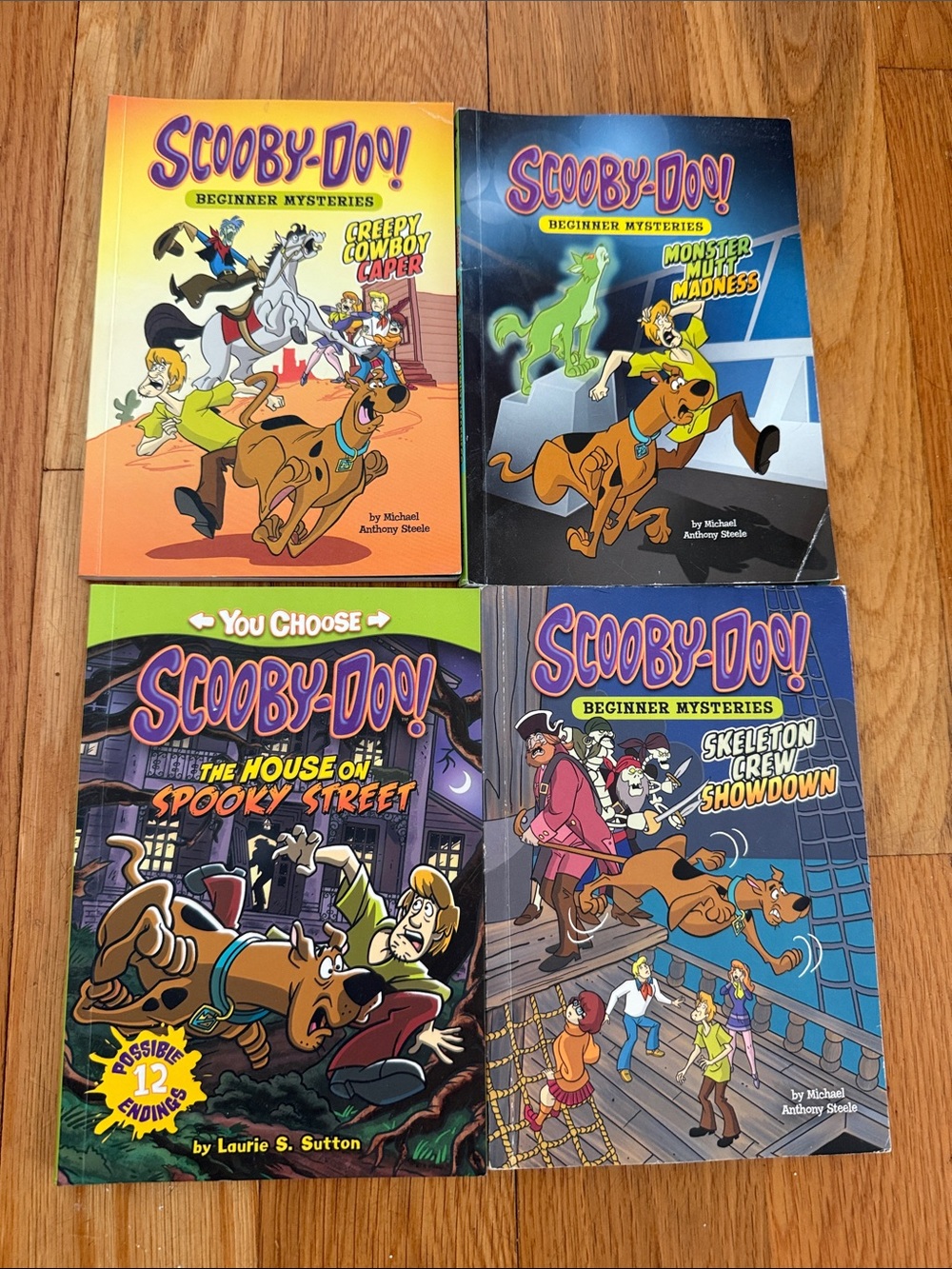 Beginner Mysteries Kids Book Set - (Assorted Colors)